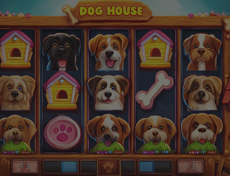 The Dog House